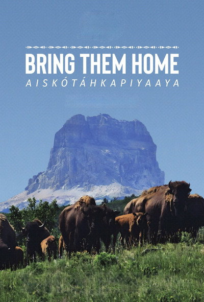 Póster de Bring Them Home