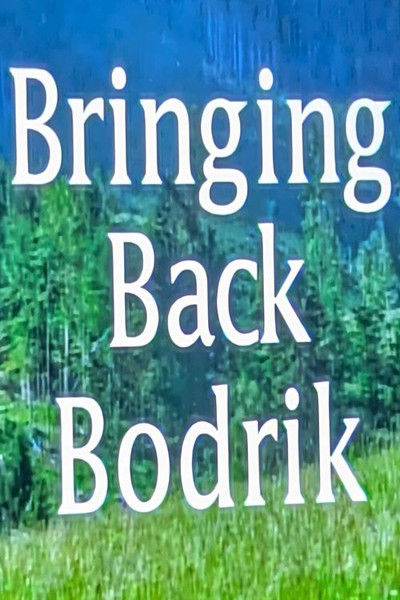 Póster de Bringing Back Bodrik