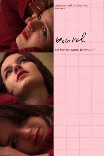 Póster de Bristol