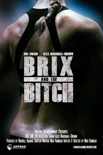 Póster de Brix and the Bitch