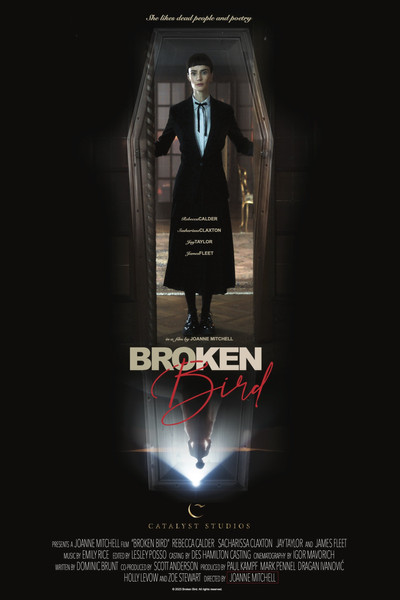 Póster de Broken Bird