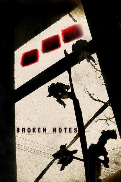 Póster de Broken Notes