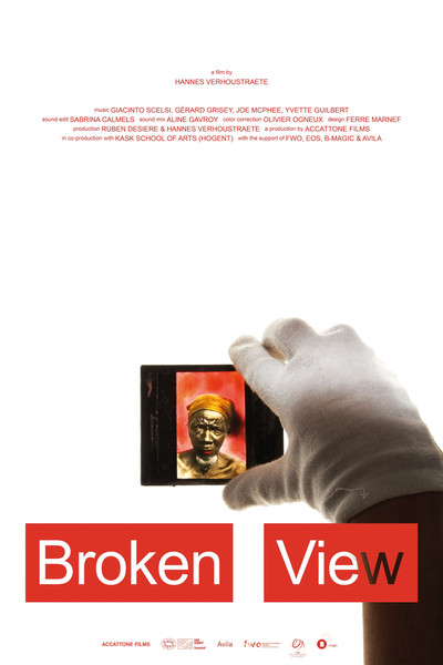 Póster de Broken View