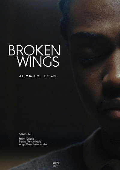 Póster de Broken Wings