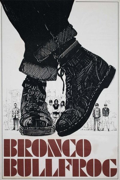 Póster de Bronco Bullfrog