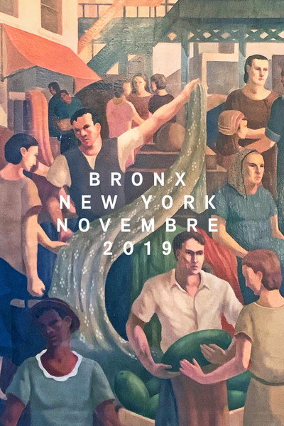 Póster de Bronx, New York, November 2019