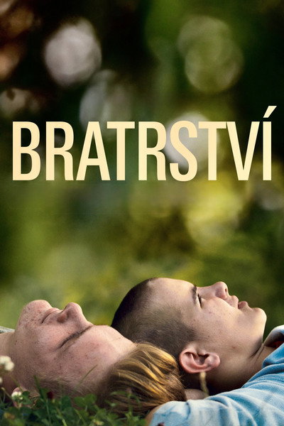 Póster de Brotherhood