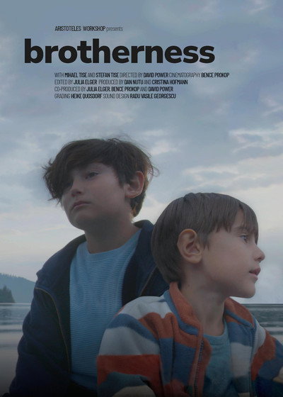 Póster de Brotherness