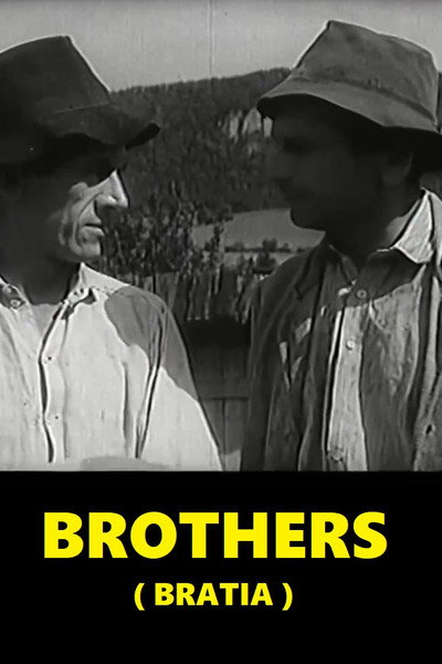 Póster de Brothers