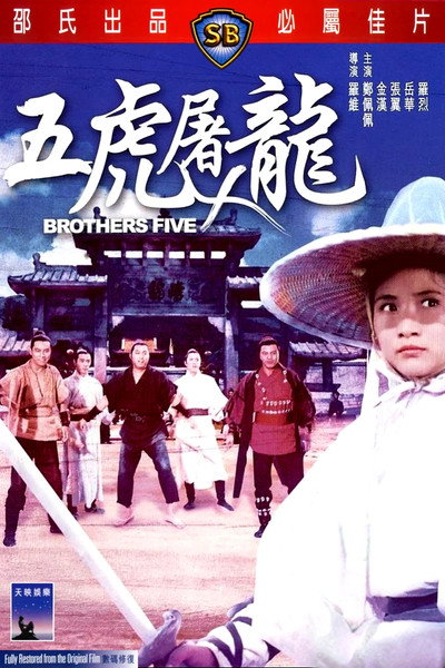 Póster de Brothers Five