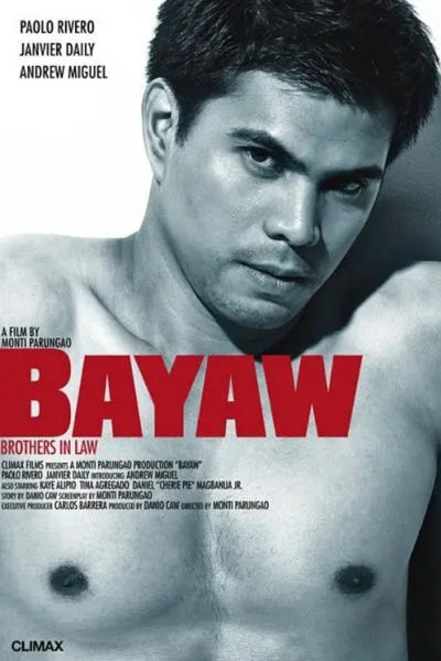Póster de Brothers in Law