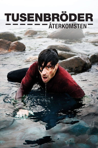 Póster de Brothers: The Return
