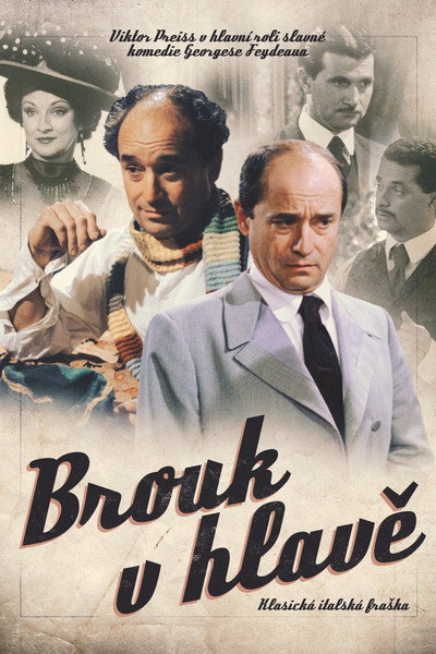 Póster de Brouk v hlave