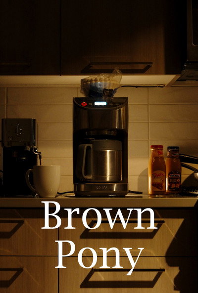 Póster de Brown Pony
