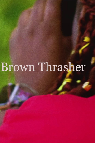 Póster de Brown Thrasher