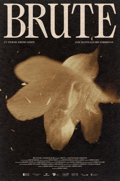 Póster de Brute