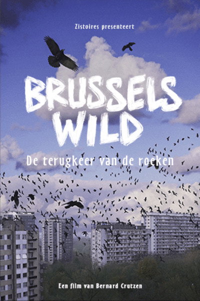 Póster de Bruxelles sauvage, le retour des corbeaux