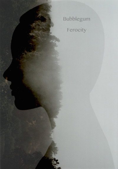 Póster de Bubblegum Ferocity