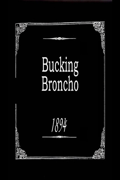 Póster de Bucking Broncho