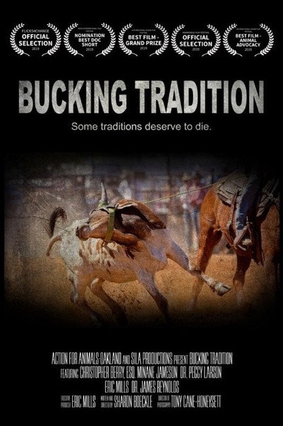 Póster de Bucking Tradition