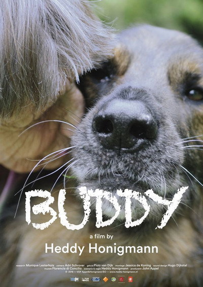 Póster de Buddy
