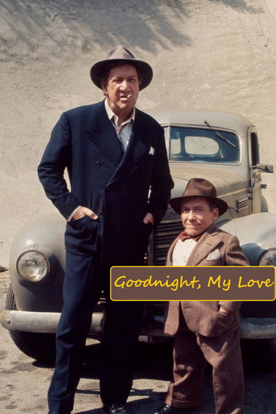 Póster de Buenas noches, mi amor
