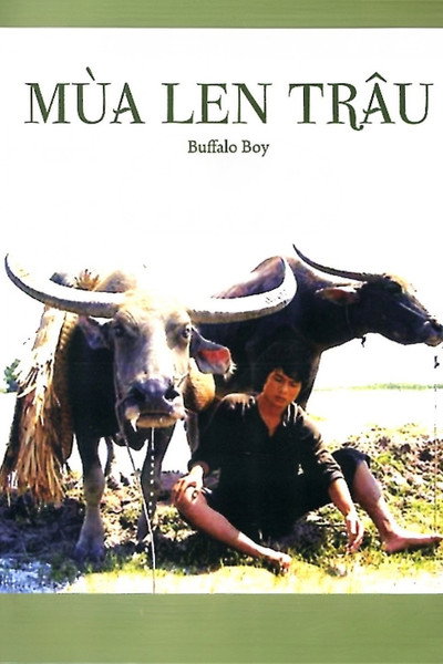 Póster de Buffalo Boy