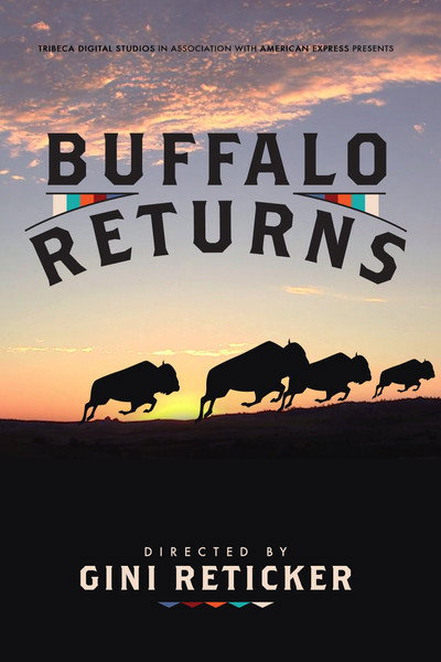 Póster de Buffalo Returns