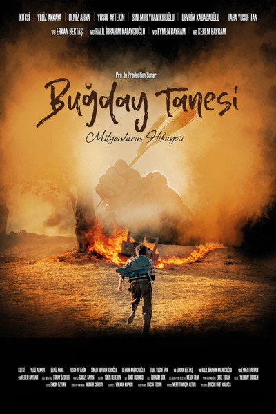 Póster de Bugday Tanesi
