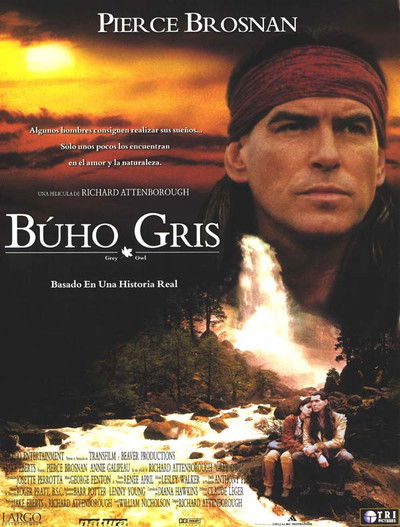 Póster de Búho Gris