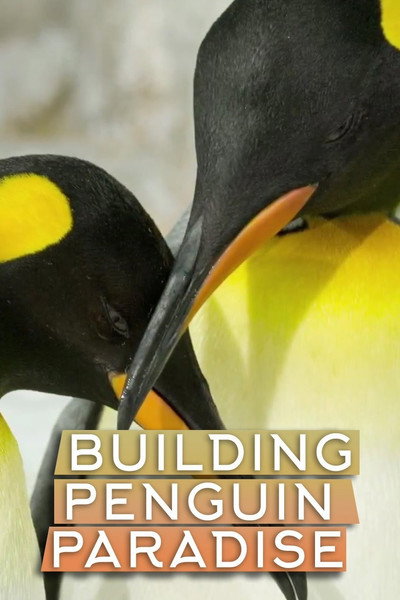 Póster de Building Penguin Paradise