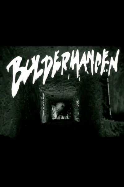 Póster de Buldermanden