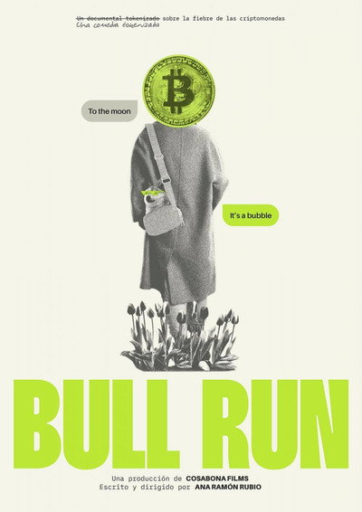 Póster de Bull Run