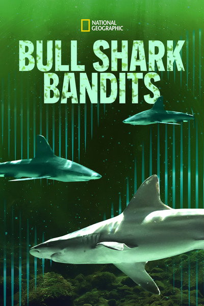Póster de Bull Shark Bandits