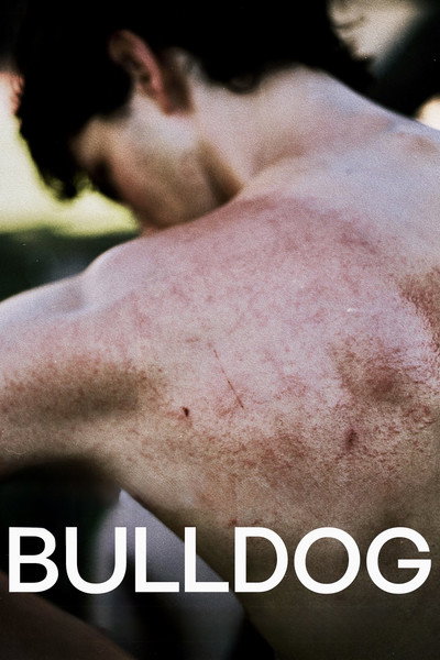 Póster de Bulldog