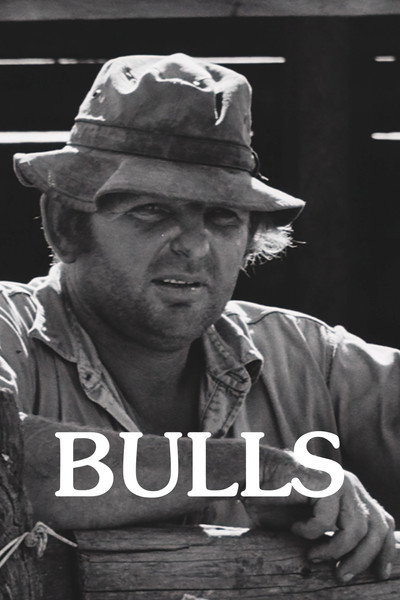 Póster de Bulls