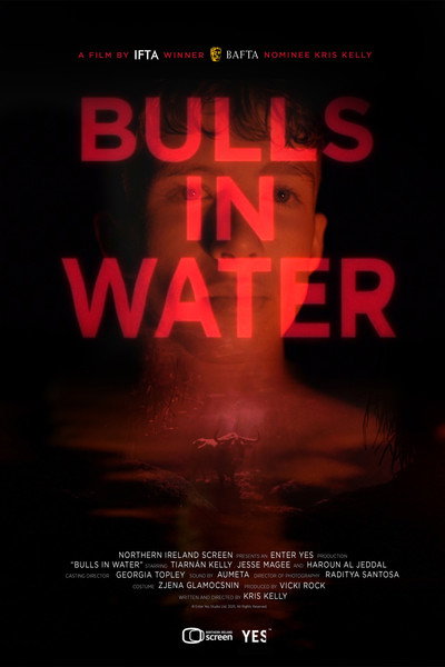 Póster de Bulls in Water