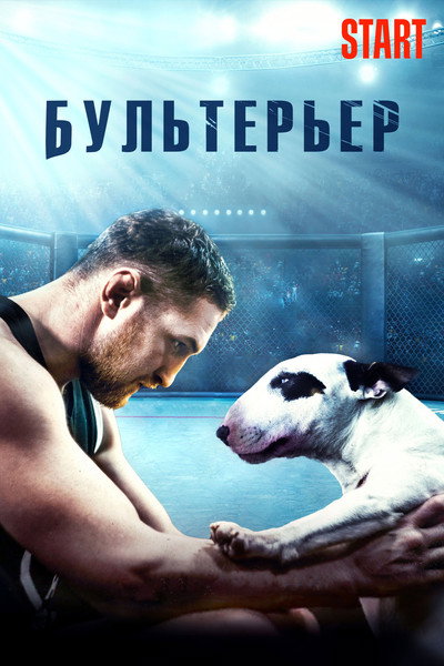 Póster de Bulterer