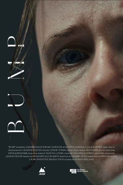 Póster de Bump