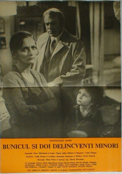Póster de Bunicul si doi delincventi minori