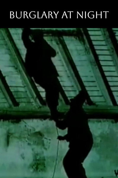Póster de Burglars at Work