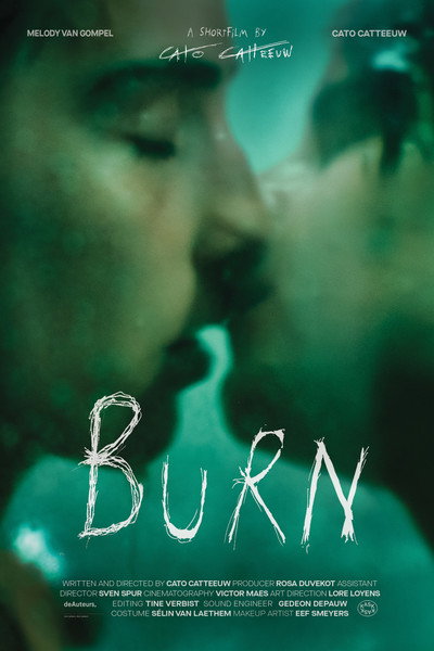 Póster de Burn