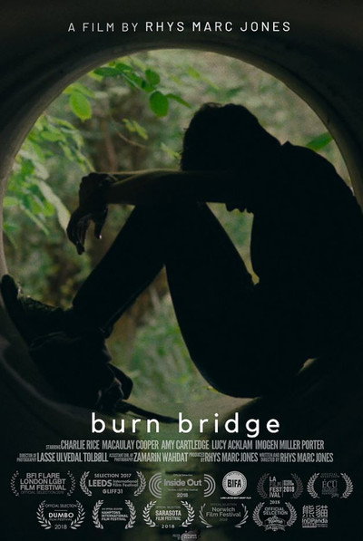 Póster de Burn Bridge