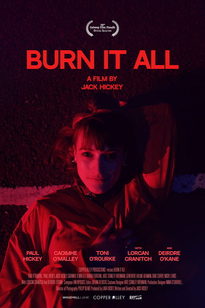 Póster de Burn It All