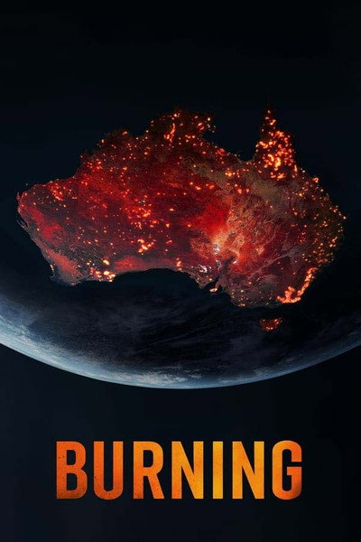 Póster de Burning