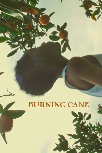 Póster de Burning Cane