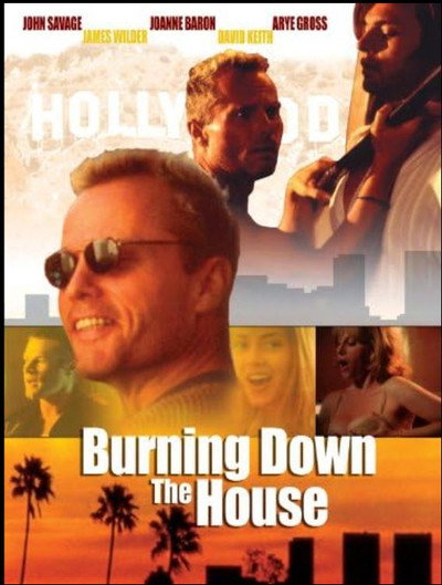 Póster de Burning Down the House