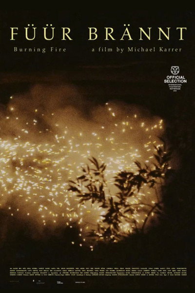 Póster de Burning Fire