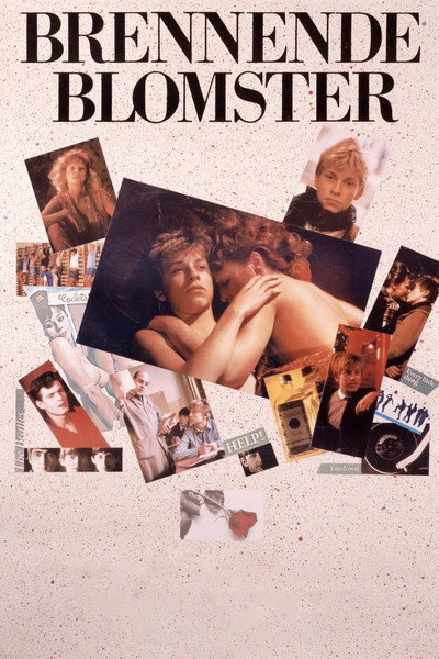 Póster de Burning Flowers