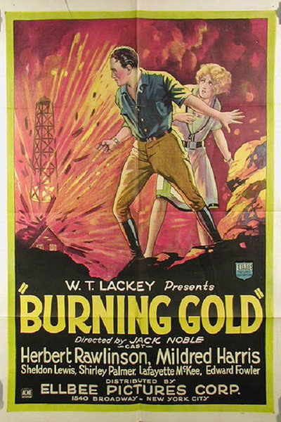Póster de Burning Gold